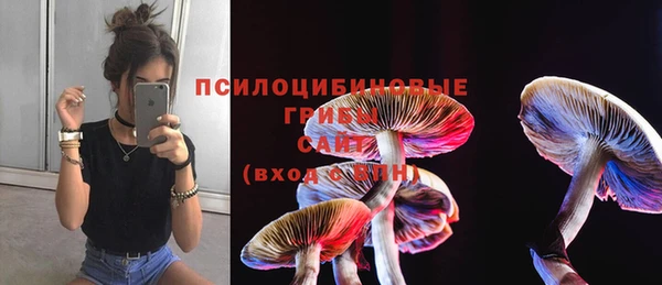 героин Абаза