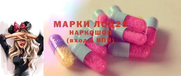 прущие грибы Алзамай