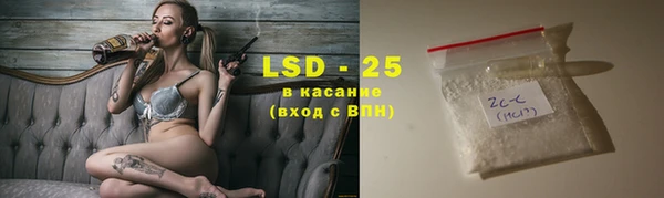 прущие грибы Алзамай