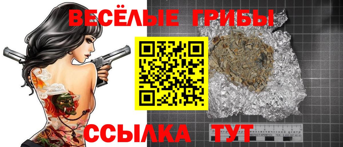 Южноуральск  Галлюциногенные грибы Psilocybine cubensis  Вход с VPN 